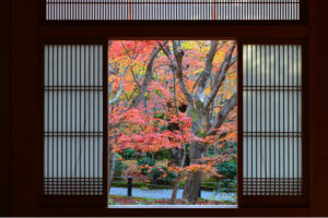 The garden of Enko-ji Temple in Kyoto during the peak of autumn.